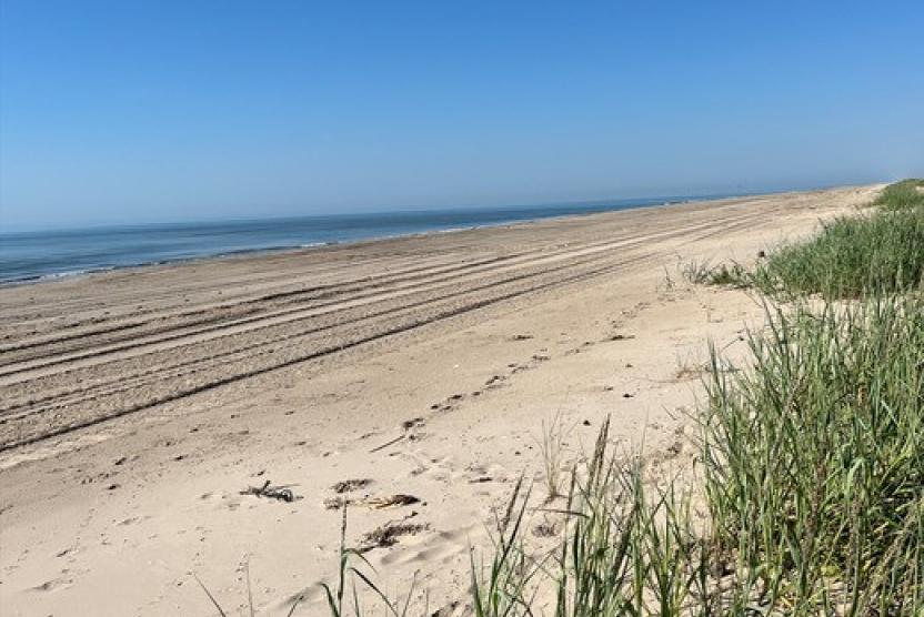 BEACHEDDAYS★AQUATIC DIVISION TheCommoner Land Commissioner Buckingham Applauds McFaddin National Wildlife
